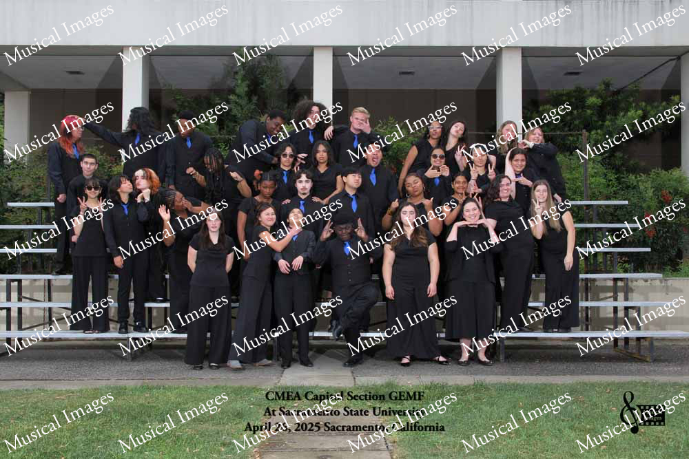 Musical Images